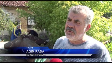 SHTATORJA E NENE TEREZES NE QAFE - THANE?