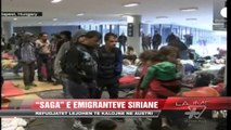 Emigrantët kalojnë kufirin hungarez - News, Lajme - Vizion Plus