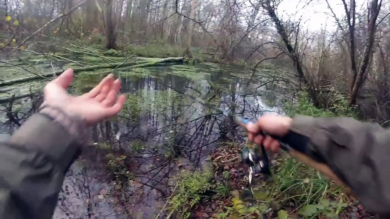 Pêche 29/11/15