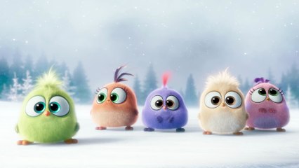 The Angry Birds - Season's Greetings from the Hatchlings!