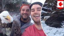 Bald eagle caught in fur trap rescued by two Canadian brothers out hunting