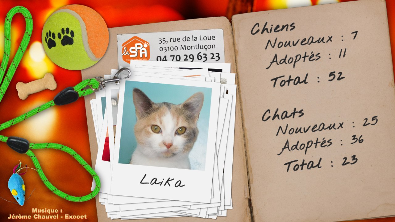 Un mois au refuge : octobre 2015