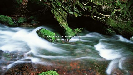Nature Sound 12 - THE MOST RELAXING SOUNDS -