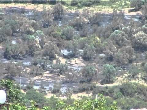 DIGJET SHQIPERIA NE FLAKE MIJERA HA PYJE DHE KULLOTA NE MBARE VENDIN LAJM