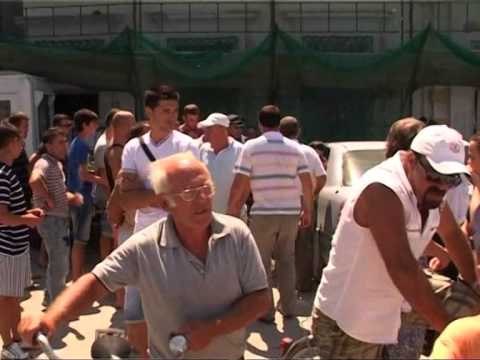 TERROR NE VLORE GRABITET ME ARME NJE BANKE NE SHESHIN E FLAMURIT LAJM