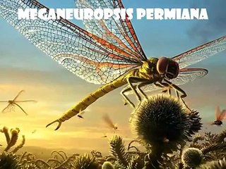 World's Top 10 Biggest Animal Ever Seen Before