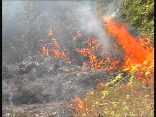 SHQIPERIA NE FLAKE ZJARRE KUDO NE VEND,NGA JUGU NE VERI NE FLAKE LAJM