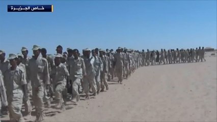 الجيش اليمني والمقاومة يستعدان لاستعادة مديرية بيحان بشبوة