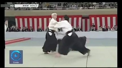 Gran Maestro de Aikido