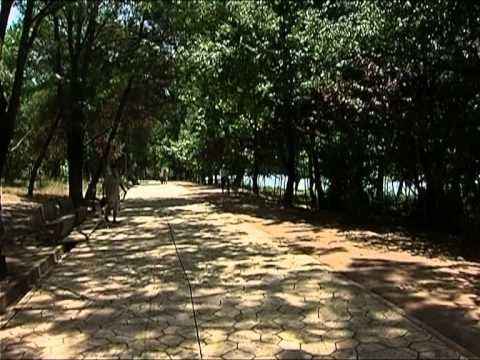 NDALOHEN TRE SHTETAS AKUZA,PER PRERJE TE PEMEVE NE PARKUN E TIRANES LAJM