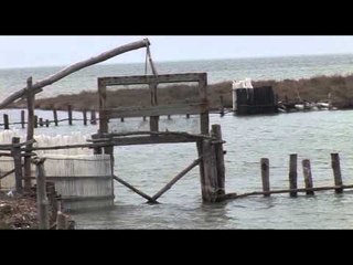 ALDO BARE KERKON LAGUNEN E KARAVASTASE