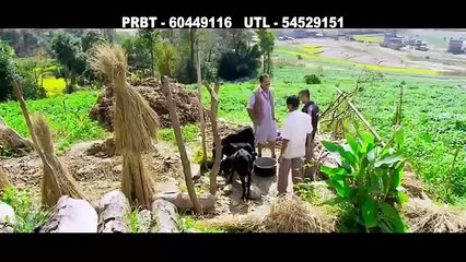 chinta chhaina kei Malai America yahi by pashupati sharma