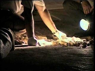 VRASJE NE MALESINE E MADHE ÇESHTJET E PRONESISE SHKAKTOJNE VIKTIMEN E RRADHES LAJM