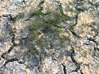 LIQENI I VIROIT ULJA E NIVELIT TE UJIT PO NGORDH NE MASE PESHQIT LAJM