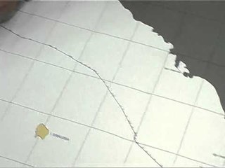 REFUZOHET PAKTI I PS HAXHINASTO HEDH POSHTE 10 PIKAT E OFRUARA NGA PS LAJM