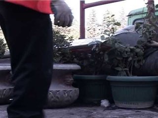 POLICIA BASHKIAKE VIJON AKSIONI PER LIRIMIN E HAPESIRAVE PUBLIKE LAJM