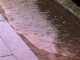 VJESHTA NE SHQIPERI TEMPERATURAT DO TE RRITEN PERSERI TE HENEN LAJM
