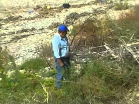 RAPORTI I OKB PER DROGEN SHQIPERIA VIJON TE MBETET VEND TRANZIT PER DROGEN LAJM