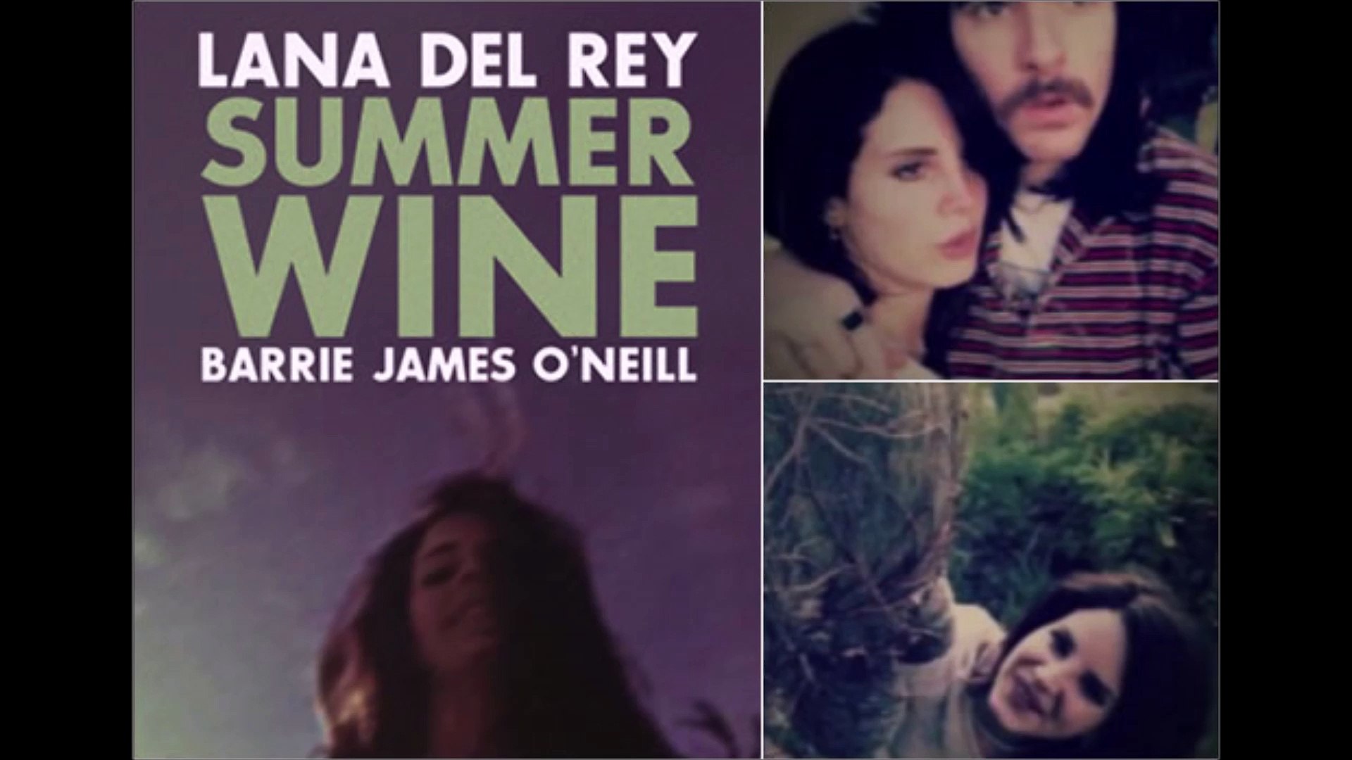 Lana Del Rey Summer Wine - video Dailymotion