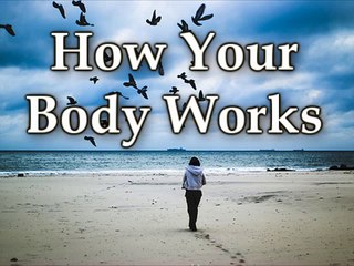 Pituitary gland & Disease