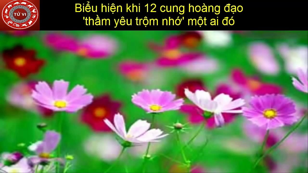 Bieu-hien-cua-12-cung-hoang-dao-khi-tham-yeu-trom-nho-mot-ai-do