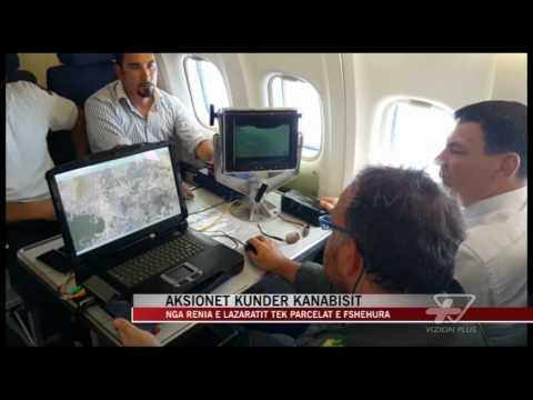 Aksionet kundër kanabisit në Shqipëri - News, Lajme - Vizion Plus