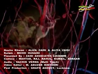 01 Qabr Ek Hamshir Ki l Nohakhuwan-Aliza Zaidi & Aliya Zaidi l Tashheer-e-Aza 1437 Hijri