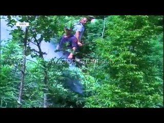 Basha: Droga, në të gjithë vendin.Narkotrafikantët,në Parlament - Top Channel Albania - News - Lajme