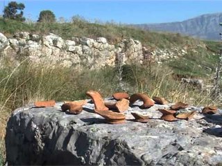 SHETITORJA E ANTIGONESE GERMIMET ARKEOLOGJIKE ZBULOJNE NJE TJETER PJESE LAJM