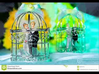 +91-9501893254 Remove black magic specialist ruhani muthkarani IN LUCKNOW