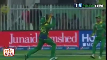 عمر اکمل نے آج کے میچ میں 3 شاندار کیچز کیسے پکڑیں ویڈیو دیکھیں