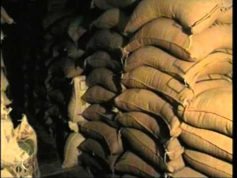 KAPEN 4 KLANDESTINE POLICIA ARRESTON SHOFERIN MALAZEZ NE KAPSHTICE LAJM