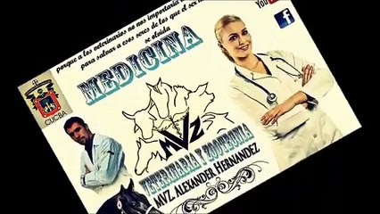 ALEXANDER HERNANDEZ (EL COBRA) - TEMA: CONCEPTUALIZACION DE CESTODOS Y EMFERMEDAD DE MONEZ