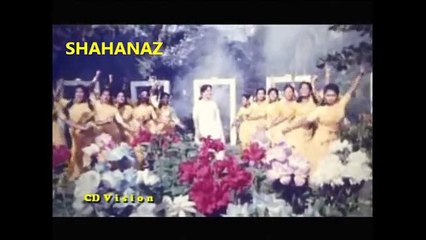 Amai Dekhe Ami Chinte Pari Na (Kajer Beti Rohima)