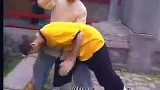 Shaolin street fight skills