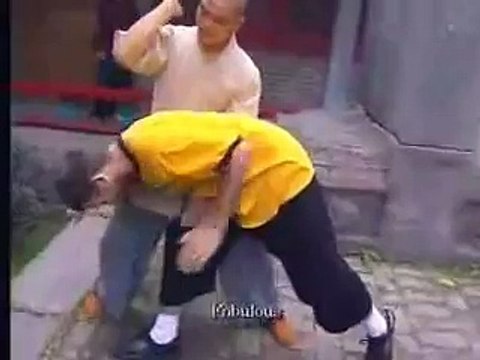 Shaolin street fight skills