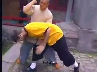 Shaolin street fight skills