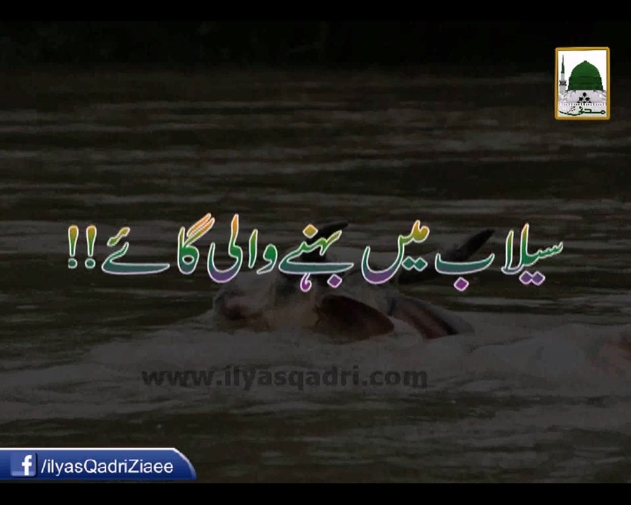 Selab Mein Behne Wali Gai - Maulana Ilyas Qadri - Short Speech