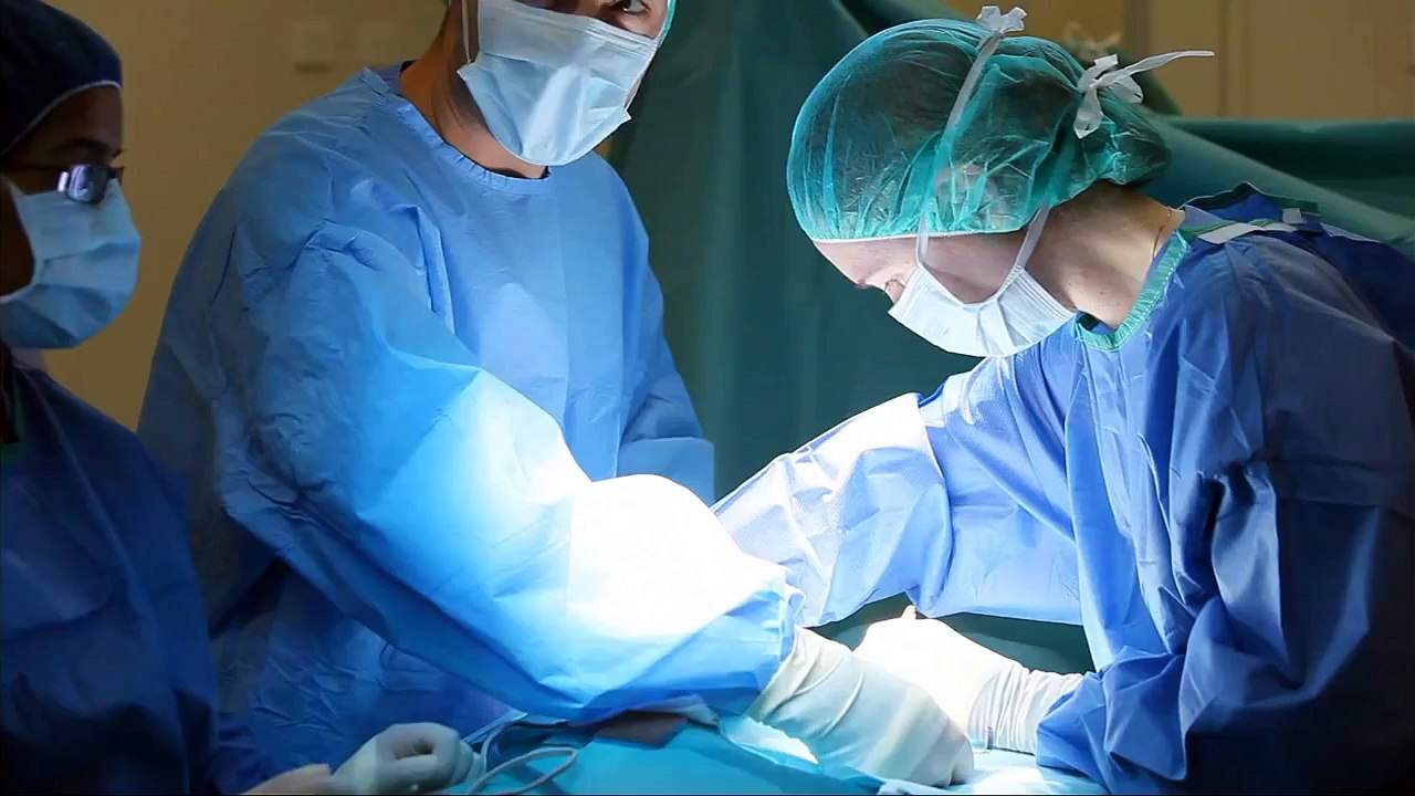 University of Melbourne & Veterinary Medicine