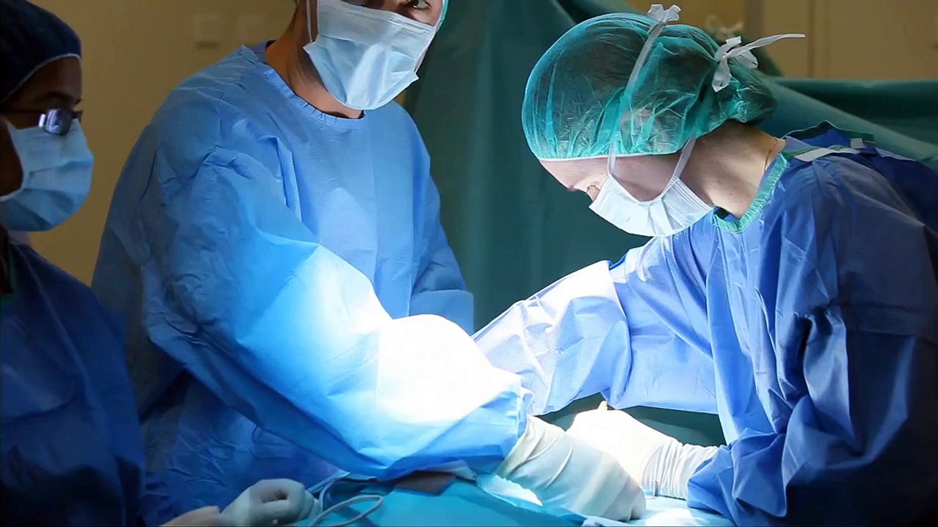 ⁣University of Melbourne & Veterinary Medicine