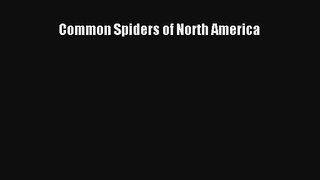 [PDF Download] Common Spiders of North America [PDF] Online