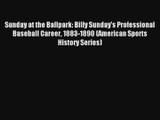 Sunday at the Ballpark: Billy Sunday's Professional Baseball Career 1883-1890 (American Sports