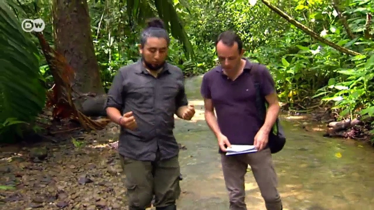 Costa Rica: Investments für den Regenwald | Global 3000