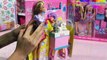 Barbie I Can Be / Barbie Bądź Kim Chcesz - Barbie Pet Groomer / Barbie Psi Fryzjer - Y7379 - Recenzja