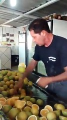 Very fast and talented orange slicing