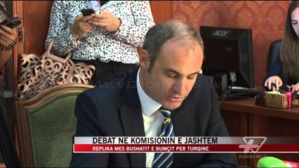 Debat në Komisionin e Jashtëm - News, Lajme - Vizion Plus