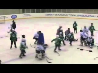 SHERR MASIV FEMIJET E VEGJEL ZIHEN ME GRUSHTA NE ICE HOCKEY LAJM