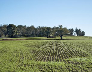 Bio Eco Active - Agricoltura, Detergenza e fotocatalisi, antibattericità