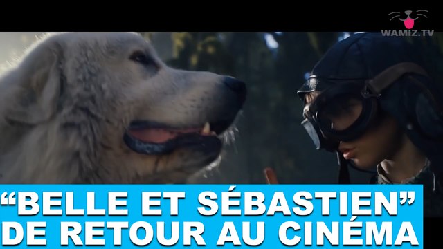Belle et Sébastien est de retour au cinéma ! Un aperçu tout de suite dans la minute chien #55