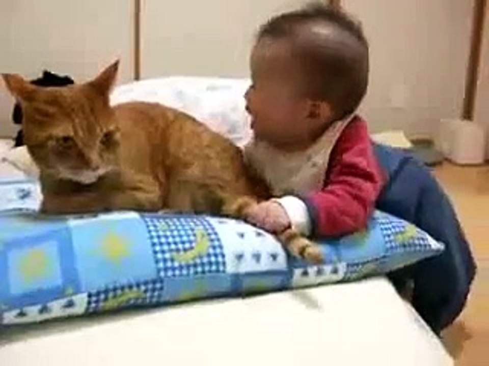 Funny video new 2015 clips Baby bites cat’s tail